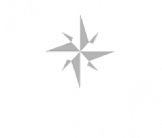 Poly Terminais